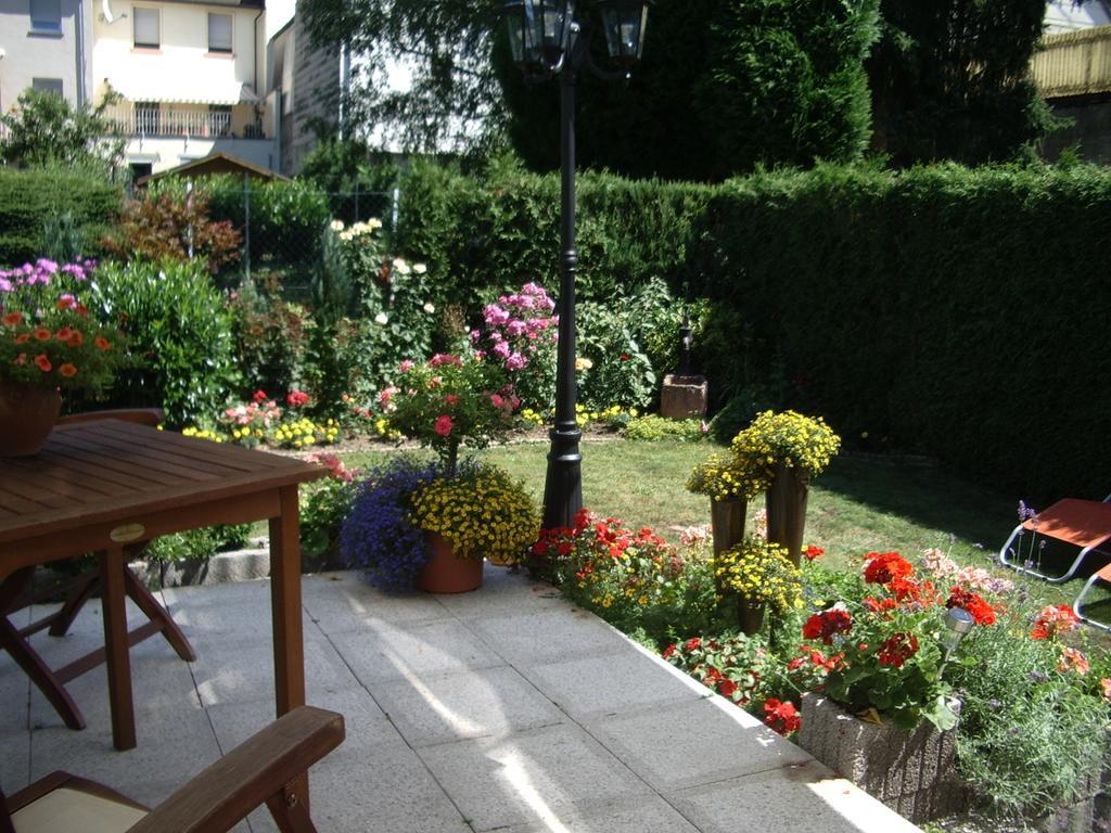 Gaestehaus Resi Otel Zeltingen-Rachtig Dış mekan fotoğraf